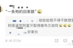 中央电视台6套在线直播,CCTV-6电影频道在线直播节目概览