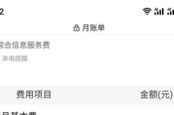 娱乐费服务费,消费背后的真相与合理规划