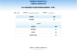 中级会计成绩查询,揭秘你的会计实力