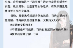 娱乐圈文好文,娱乐圈的甜蜜逆袭之路