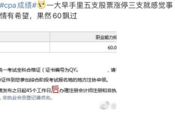 注册会计师考试成绩,盘点高分策略与备考心得