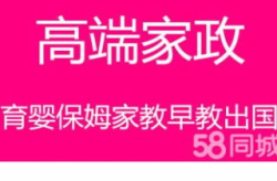 北京家政网,打造专业家政服务新平台