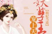 替嫁傻妃神秘九王爷宠上天,神秘九王爷的宠溺之旅