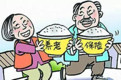 城乡居民养老保险,保障晚年生活，构建和谐养老体系”