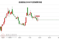 股票000878,揭秘其投资价值与市场前景”